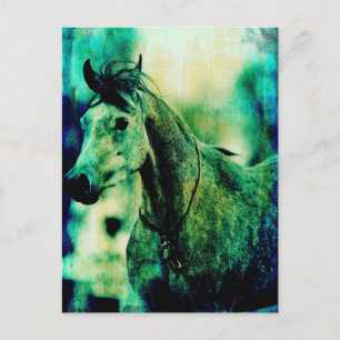 Postal Blues árabes