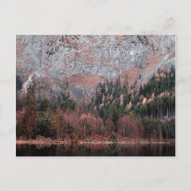 Postal Blues de montaña rosa (Anverso)