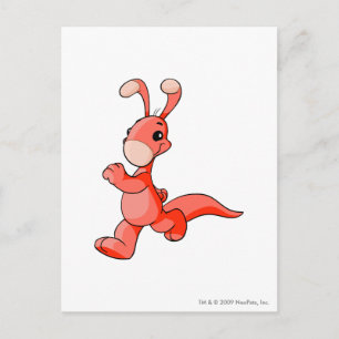 Postal Blumaroo Red