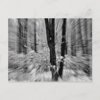 Postal Blur de Winter Woods