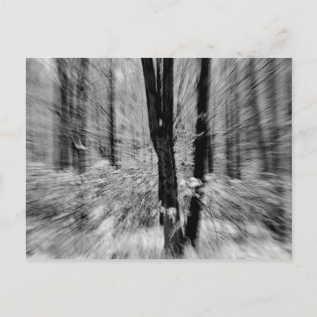 Postal Blur de Winter Woods (Anverso)