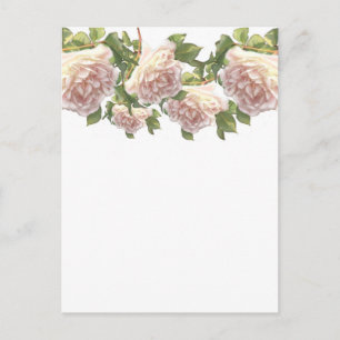 Postal Blushing Ivory Peach Rosa