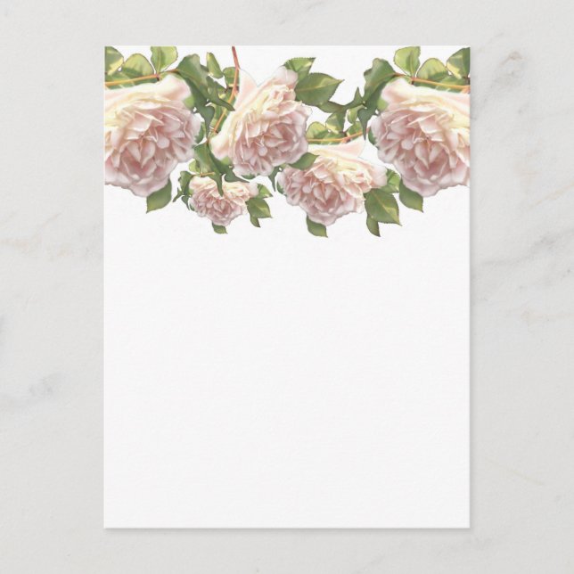 Postal Blushing Ivory Peach Rosa (Anverso)