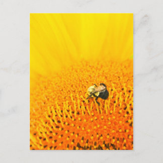 Postal BNo2: Bee-licious Número 2