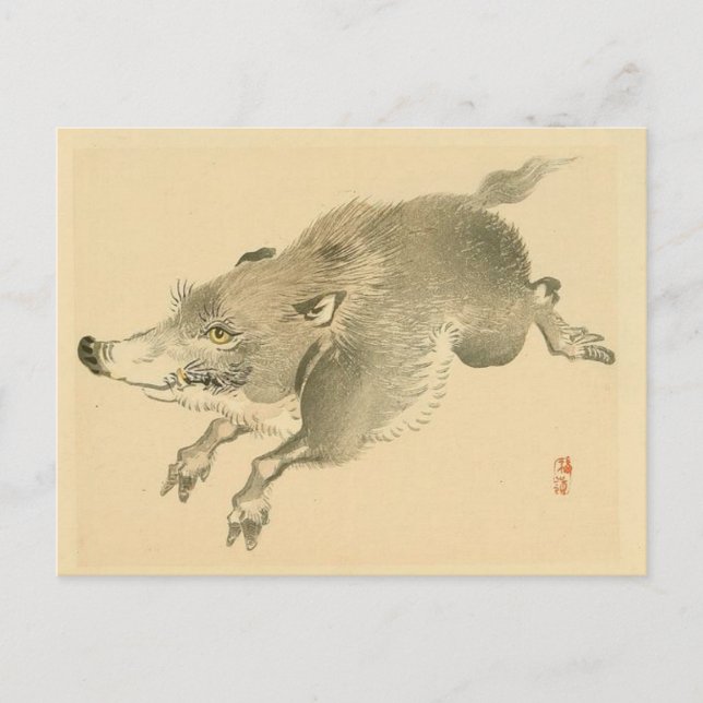 Postal Boar salvaje (arte japonés) (de Kono Bairei) (Anverso)