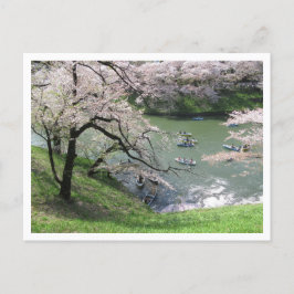 Postal Boating de primavera: Chidorigafuchi, Tokio