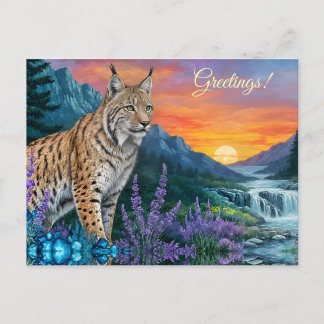 Postal Bobcat / Lynx al amanecer por cascada (Anverso)