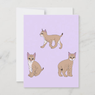 Postal Bobcats