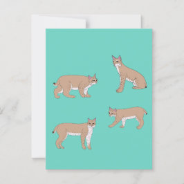 Postal Bobcats