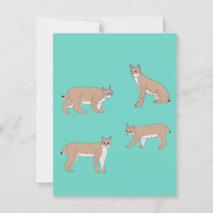 Postal Bobcats