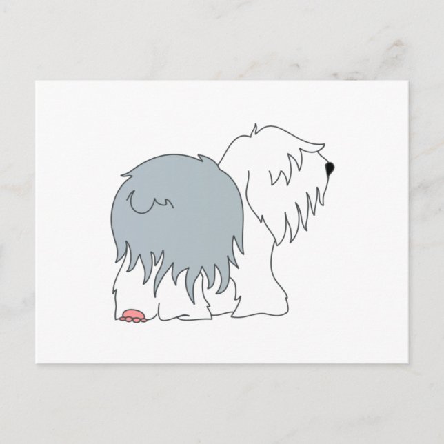 Postal Bobtail Sheepdog (Anverso)