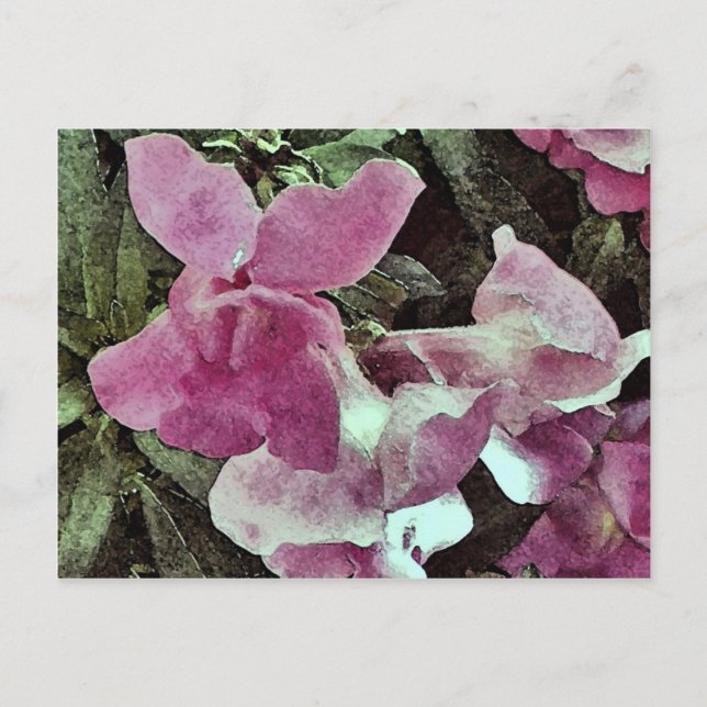 Postal Boca de dragón morada en acuarela  (Anverso)