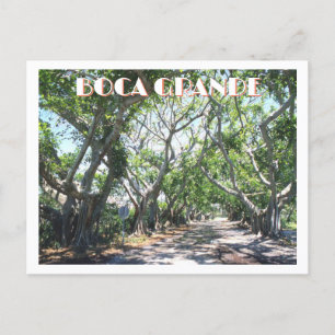 Postal Boca Grande, isla Gasparilla, bananos de Florida