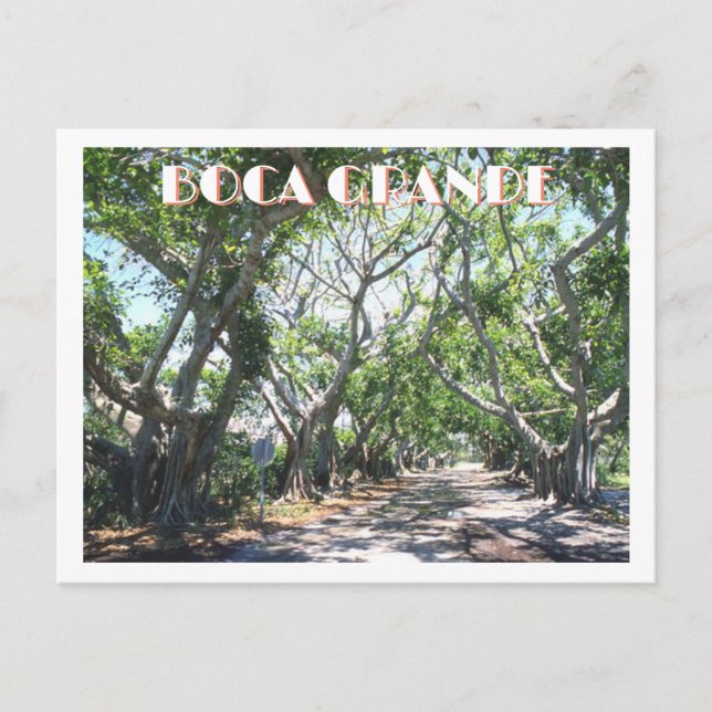 Postal Boca Grande, isla Gasparilla, bananos de Florida (Anverso)
