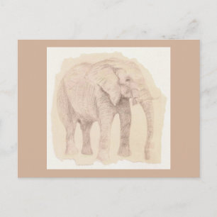 Postal Boceto de arte de elefante
