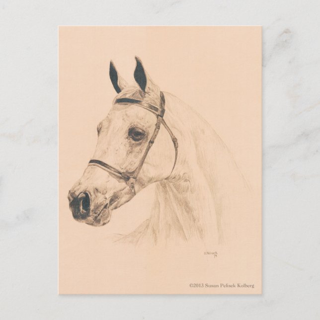 Postal Boceto de caballos por Susan Pelisek Kolberg (Anverso)
