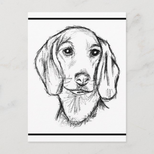 Postal boceto de perro salchicha dibujado a mano en negro (Anverso)