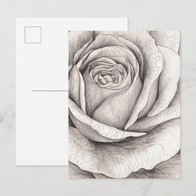 Postal Boceto de rosa  (Anverso / Reverso)