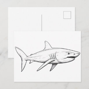 Postal Boceto de tiburón