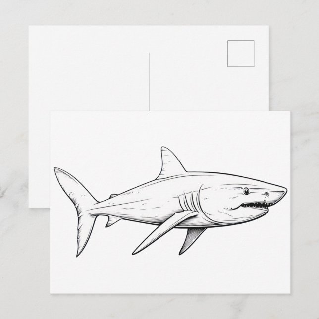 Postal Boceto de tiburón (Anverso / Reverso)