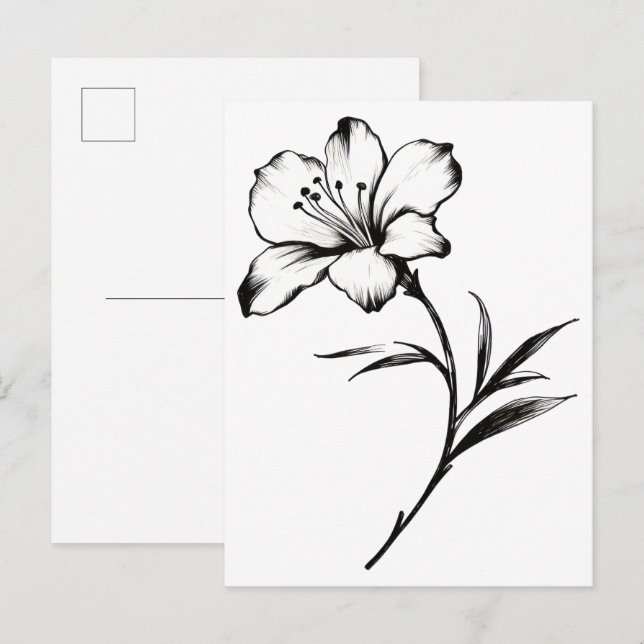 Postal Boceto de una flor (Anverso / Reverso)