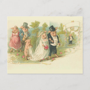 Postal Boda de cerdos de época