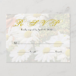 Postal Boda De Guión Amarillo De Fondo Daisy