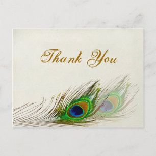 Postal Boda de plumas de pavo real Gracias Postcard