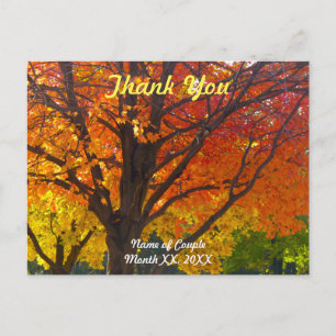 Postal Boda de Saltos de Otoño Gracias Postcard