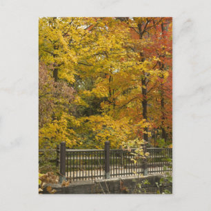 Postal Boda de vino de otoño