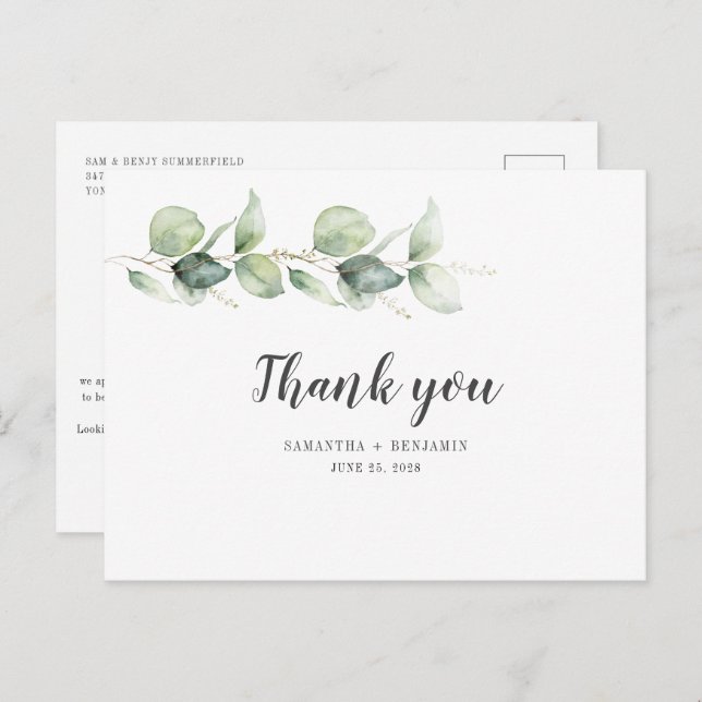 Postal Boda del follaje acuático eucalipto botánico (Anverso / Reverso)