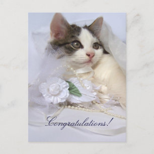 Postal Boda Kitten Postcard