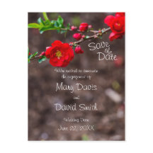 Boda superior de cartón