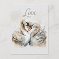 Bodas románticas de cisnes de amor