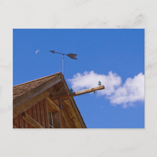 Postal Bodie Ghost Town Point El Camino De La Postcard (Anverso)