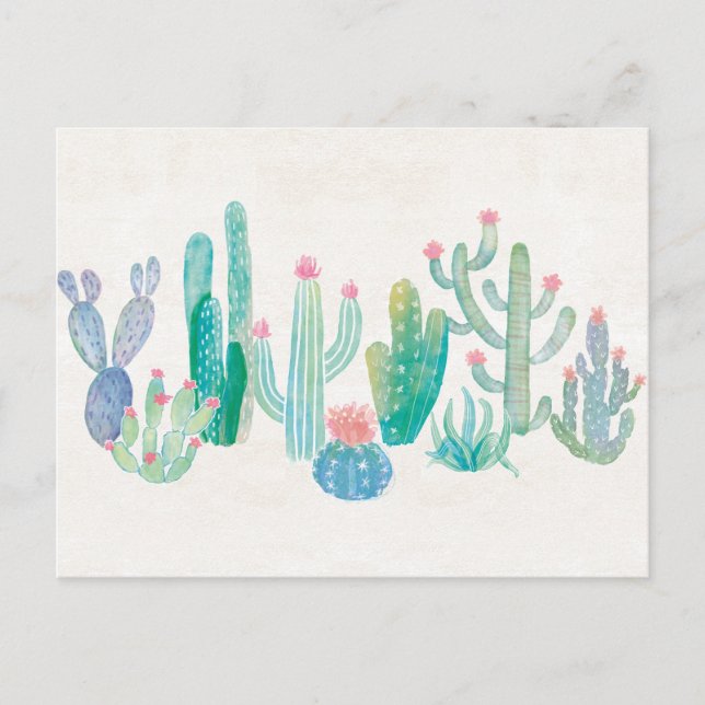 Postal Bohemian Cactus (Anverso)