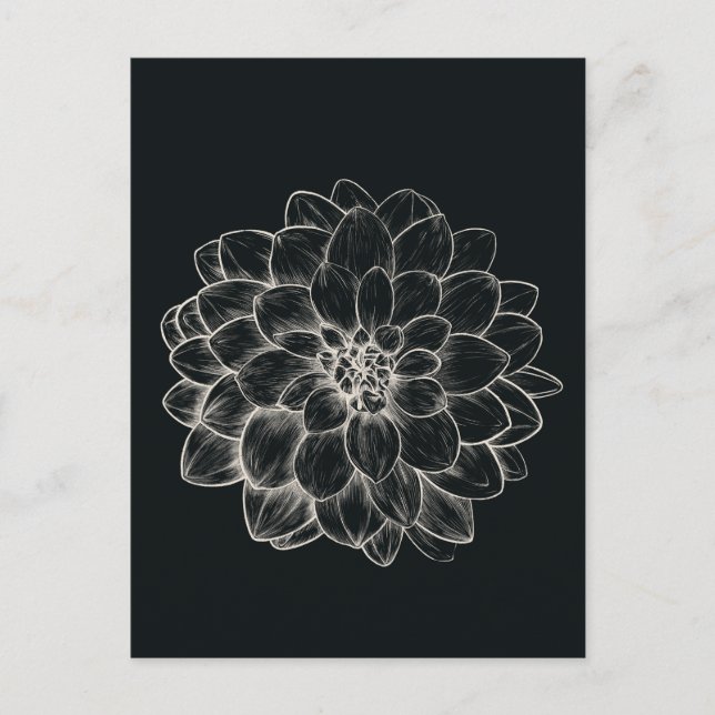 Postal Boho Cream Dahlia
