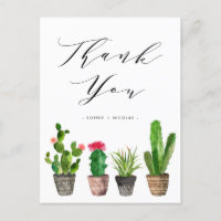 Boho Potted Succulent y Cactus Boda Gracias