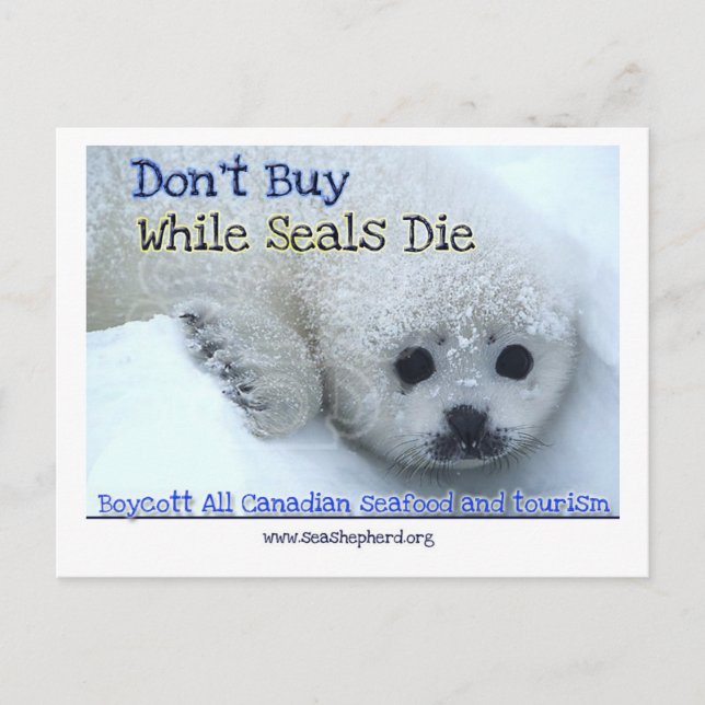 Postal Boicoteo Canadá (Anverso)