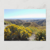 Boise Foothills