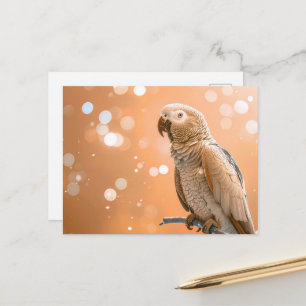 Postal Bokeh Bonito Loro Gris Africano