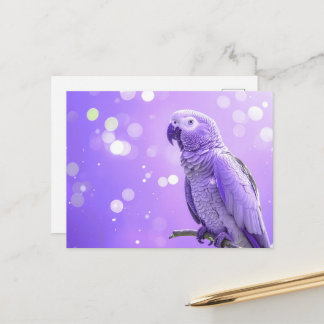 Postal Bokeh Bonito Loro Gris Africano