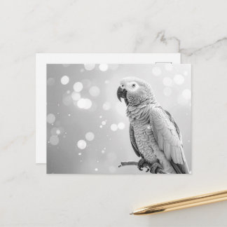 Postal Bokeh Bonito Loro Gris Africano