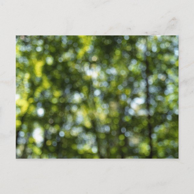 Postal Bokeh en primavera (Anverso)