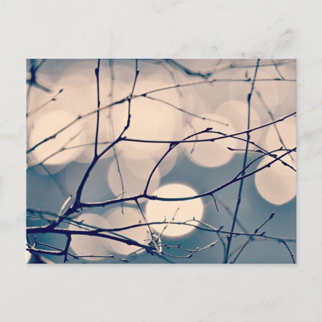 Postal Bokeh para ramas de árbol de invierno (Anverso)