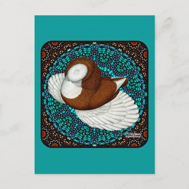 Postal Bokhara Pigeon Fancy (Anverso)