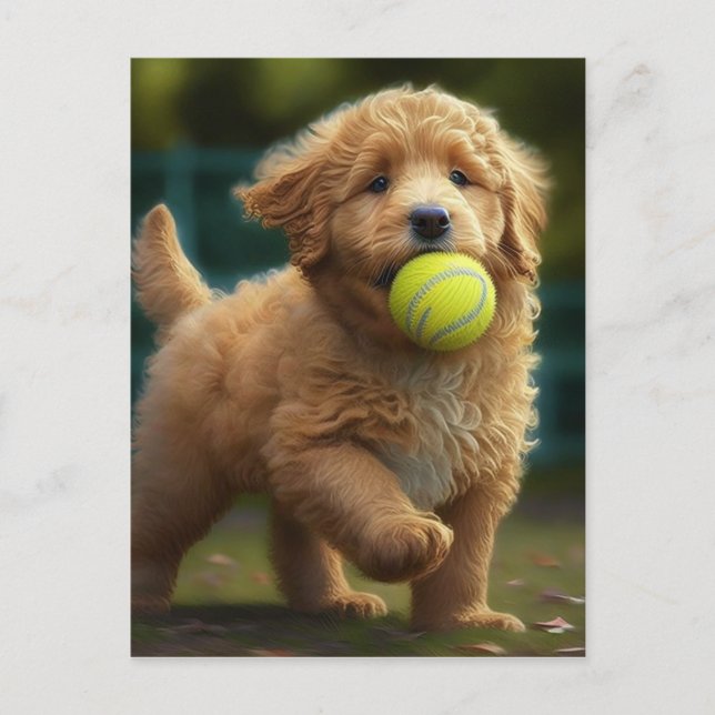 Postal Bola de Golden Doodle Puppy (Anverso)