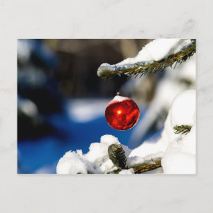 Postal Bola de Navidades Rojos, Día Soleado
