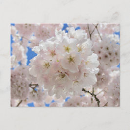 Postal Bolas de flores rosadas.