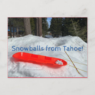 Postal ¡Bolas de nieve de Tahoe!